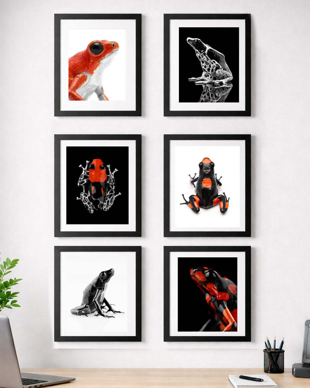 Custom Order for Trey