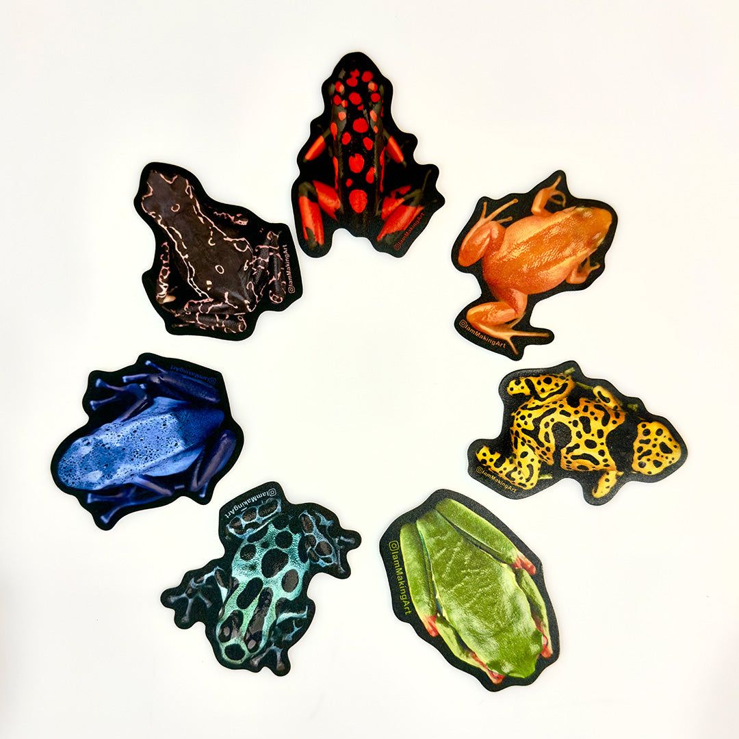 Rainbow Frog Sticker Pack