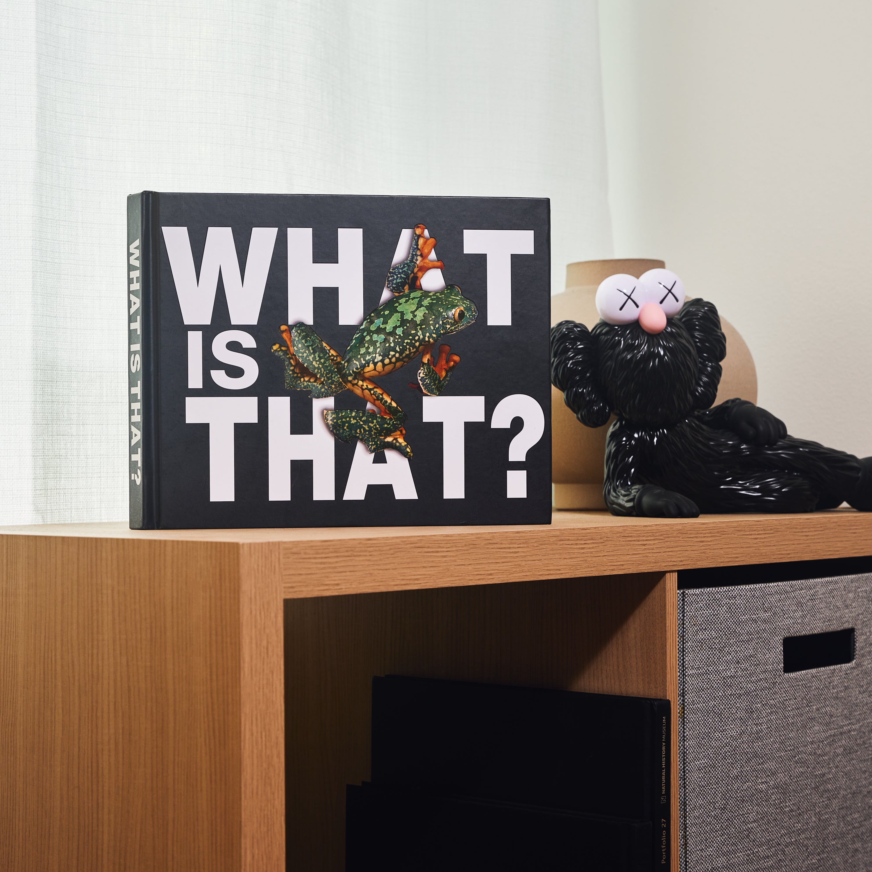 What Is That? – I Am Making Art