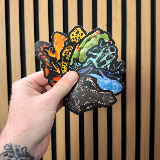 Rainbow Frog Sticker Pack